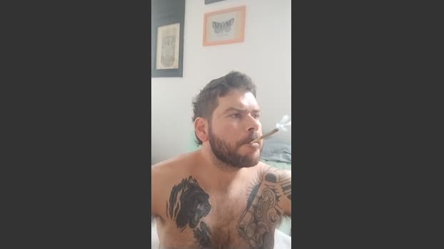 touro_comedor85 08-11-2025 Recorded Video amateur