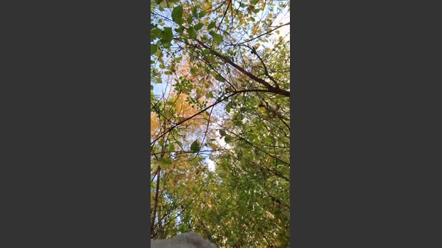 Socke72 09-11-2025 Recorded Video bigass