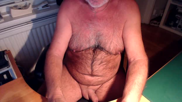 teddybare 08-11-2025 Recorded Video Cam