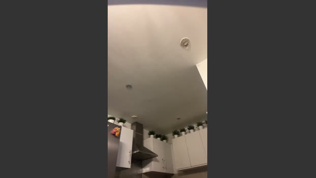 Mario84Luci 10-11-2025 Recorded Video yummy