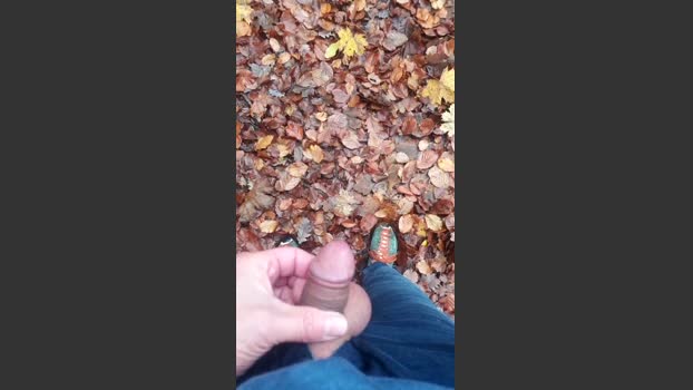 Saarlandman07 10-11-2025 Recorded Video big