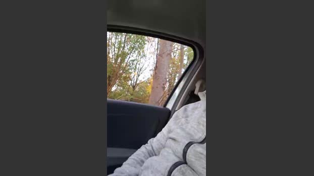 Socke72 09-11-2025 Recorded Video amateur