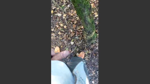 pandarosso1 10-11-2025 Recorded Video skinny