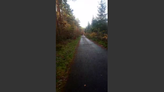 Saarlandman07 11-11-2025 Recorded Video cute