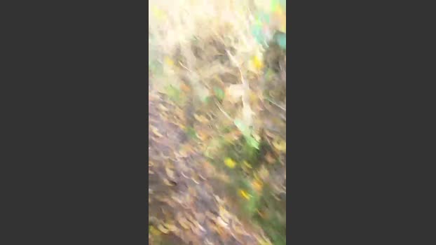 Saarlandman07 11-11-2025 Recorded Video hot