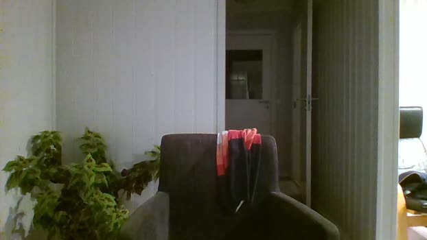 dieyfer 10-11-2025 Recorded Video twink