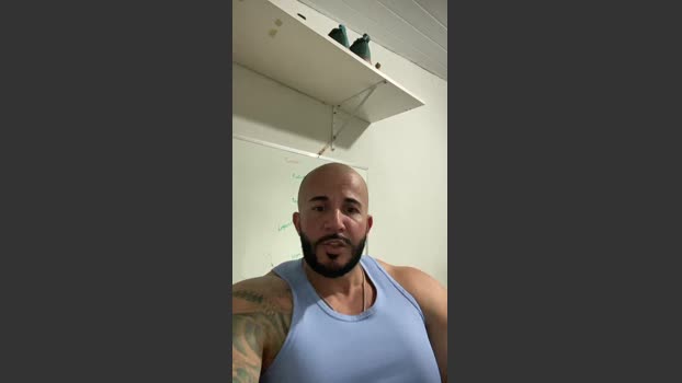 guto356 11-11-2025 Recorded Video toy