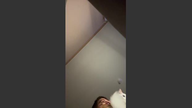 Dedel199 13-11-2025 Recorded Video bicurious