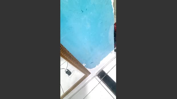 big_from_angola 13-11-2025 Recorded Video moan