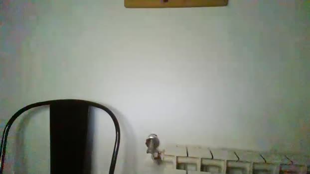 emboladoando 13-11-2025 Recorded Video kink