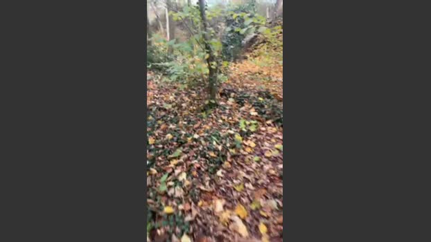 liegeois 13-11-2025 Recorded Video sweet