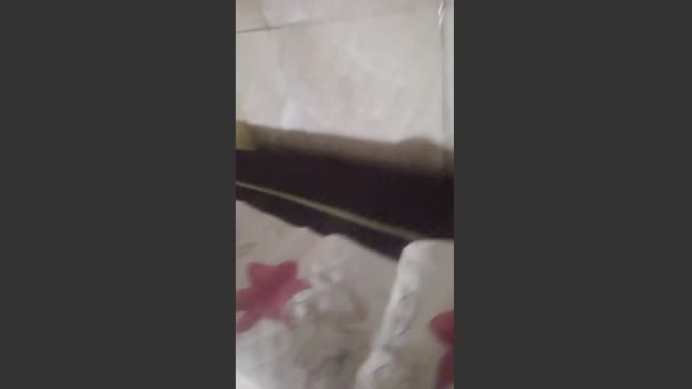 pikadoce22 13-11-2025 Recorded Video oral