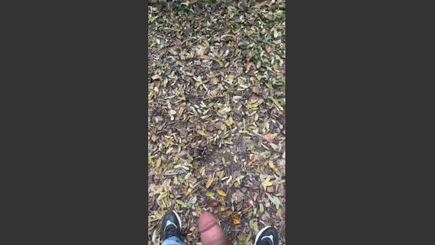 porcobg18 13-11-2025 Recorded Video toys