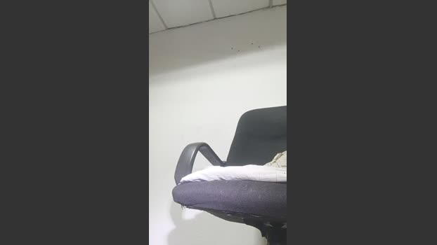 angelmontillao 14-11-2025 Recorded Video analtoy