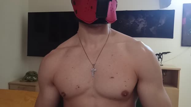 Frabroker 15-11-2025 Recorded Video suckshow
