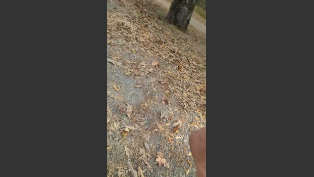 HUMPSTER2234 15-11-2025 Recorded Video fingers