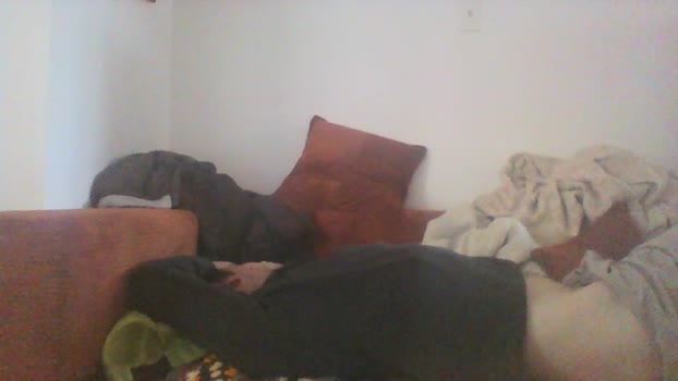 Littleguy25 14-11-2025 Recorded Video jackoff
