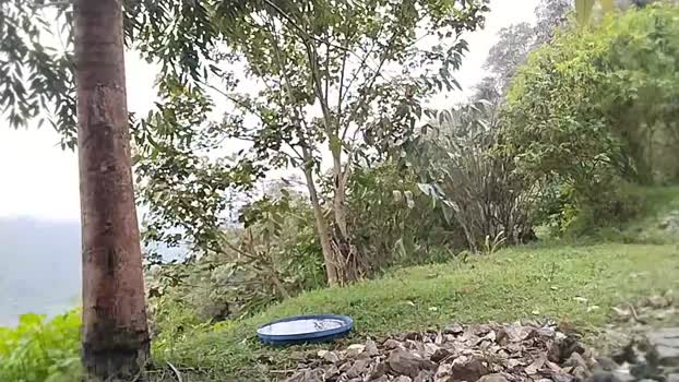 Remote_live 14-11-2025 Recorded Video skinny