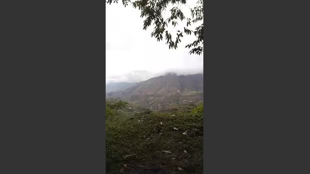 Remote_live 14-11-2025 Recorded Video horny