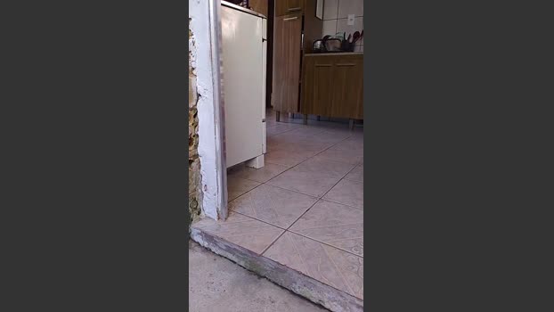 SDOlyver 14-11-2025 Recorded Video Recorded
