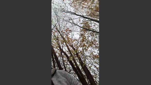 Socke72 15-11-2025 Recorded Video analsex