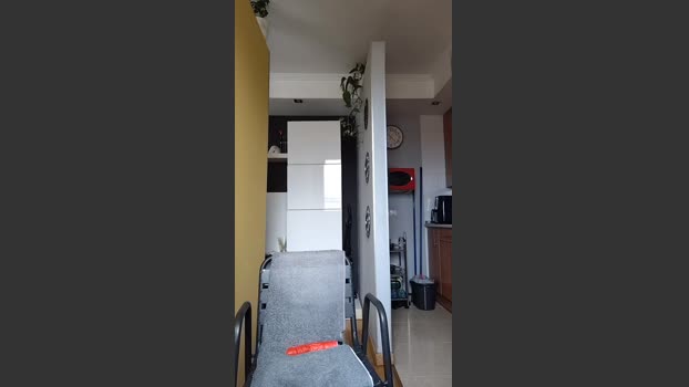 Fredylover 16-11-2025 Recorded Video strip