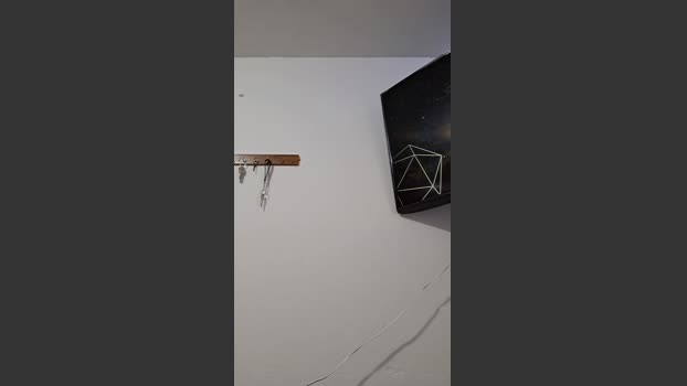 Melga02 16-11-2025 Recorded Video twink