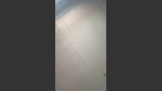 Morenoyboy 16-11-2025 Recorded Video sexyfeet