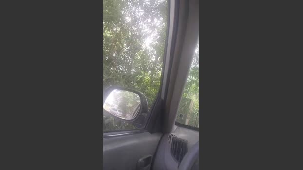 jacintos2 15-11-2025 Recorded Video bigtoys