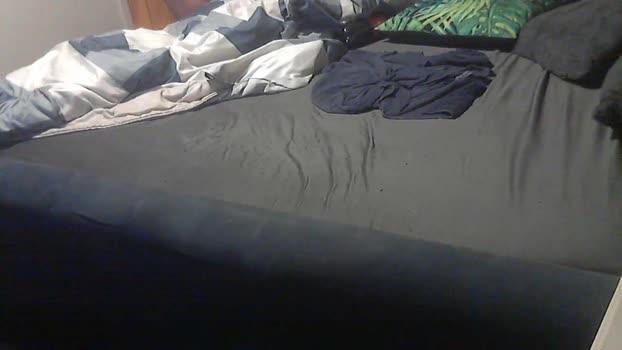 wybe 16-11-2025 Recorded Video analtoy