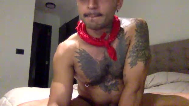 Crissba