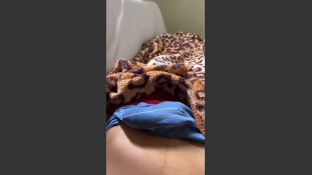 Novinhogostozzo 16-11-2025 Recorded Video gay