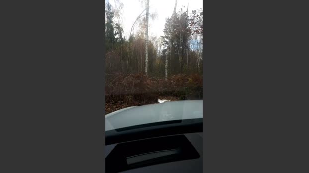 Saarlandman07 17-11-2025 Recorded Video handsome