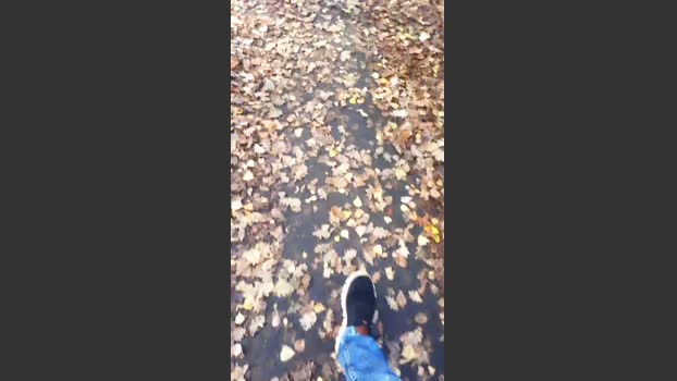 Saarlandman07 17-11-2025 Recorded Video Ass