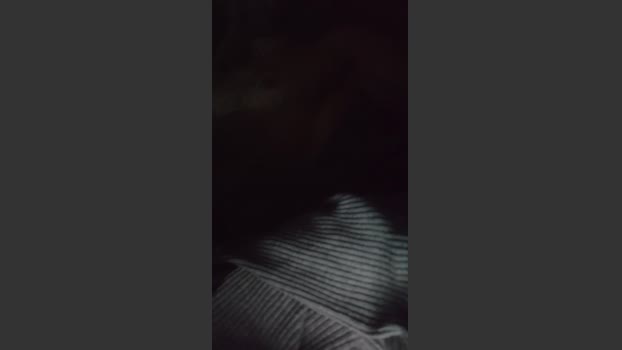 Bigtoyguy34 18-11-2025 Recorded Video play