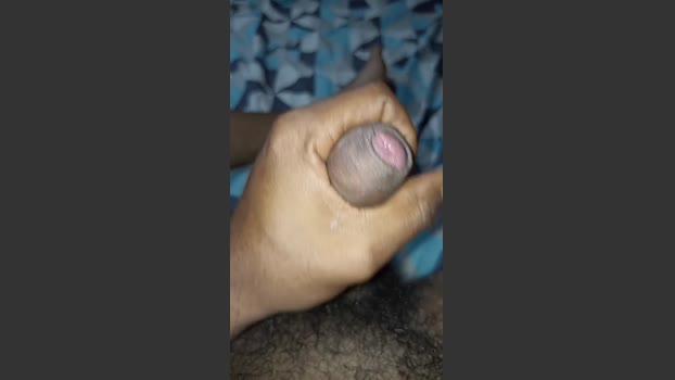 Negocavalo 18-11-2025 Recorded Video XXX
