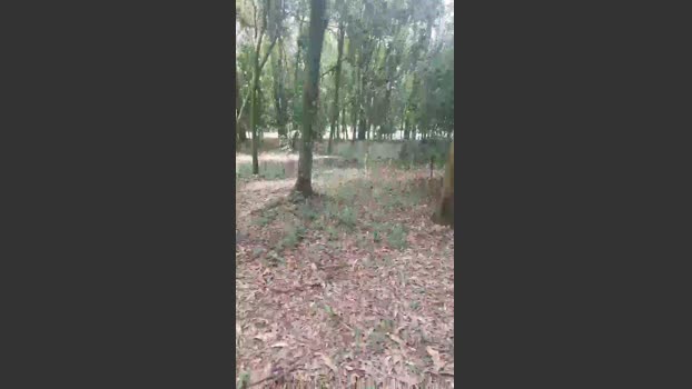 Thiagoveraxx 18-11-2025 Recorded Video natural