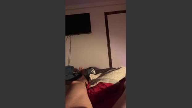 conejo_malo 18-11-2025 Recorded Video Cam