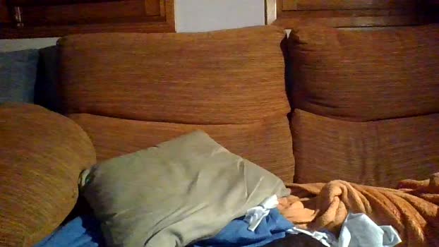 marco200 17-11-2025 Recorded Video bicurious