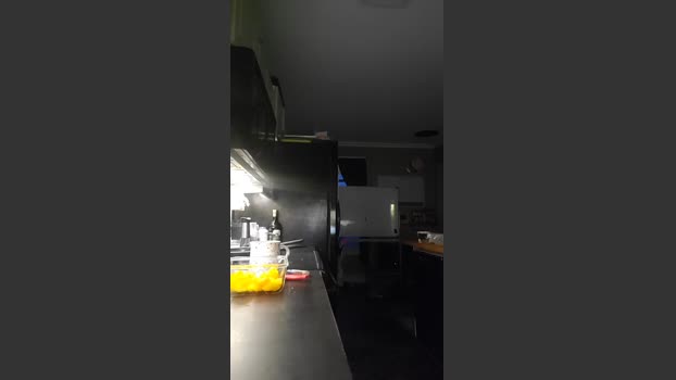 4_Fox_sakes 19-11-2025 Recorded Video strip