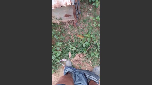 Daddy_capixaba 18-11-2025 Recorded Video sweet