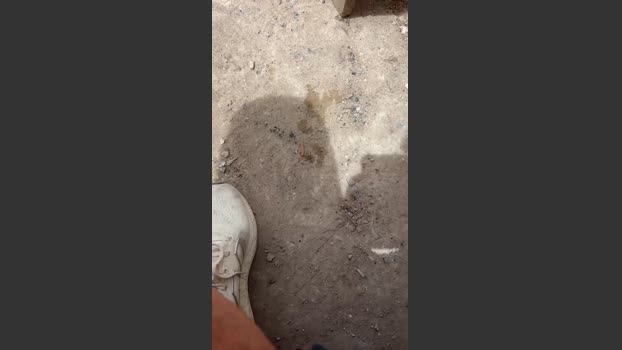 Laoquedad 18-11-2025 Recorded Video kissing