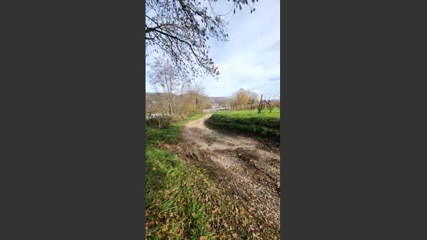 Legtiste 19-11-2025 Recorded Video bigtoys