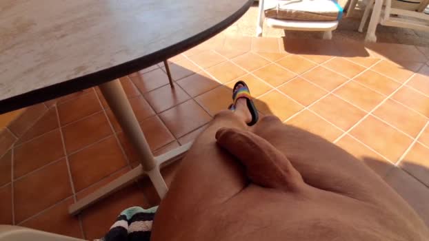 Aktiv19cm 20-11-2025 Recorded Video lick