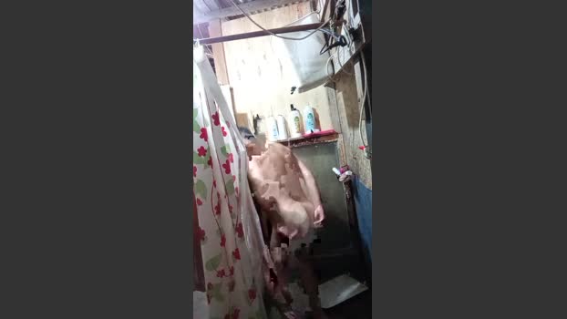 Asasass 19-11-2025 Recorded Video strip