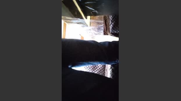 Fenix00000 19-11-2025 Recorded Video orgasm