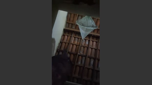 Jujudanadinho 20-11-2025 Recorded Video juicy