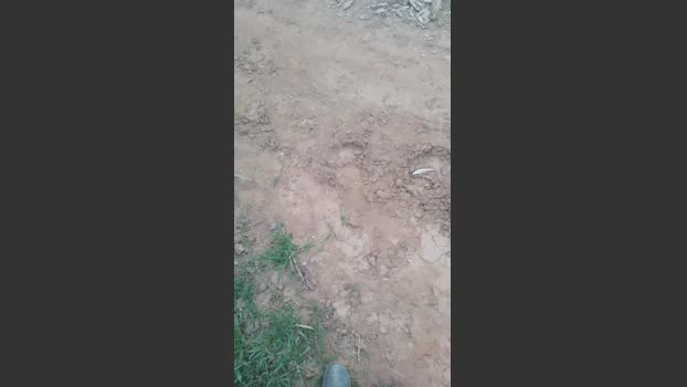 Daddy_capixaba 20-11-2025 Recorded Video XXX