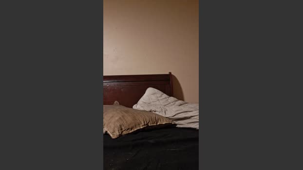 Jt14 22-11-2025 Recorded Video lick