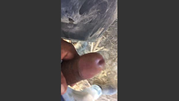 Paulosilva098 21-11-2025 Recorded Video bigass